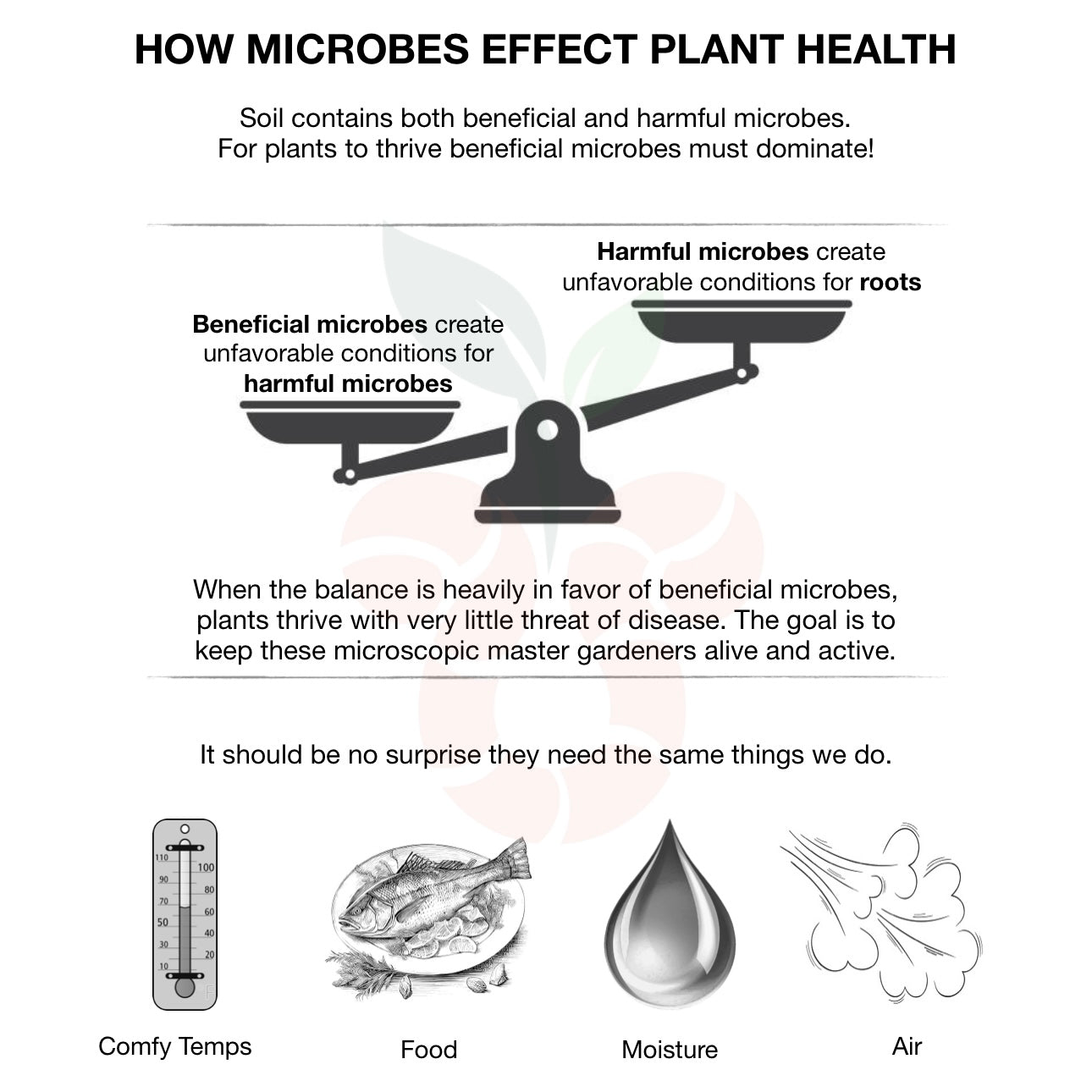 Root Love Gallon Refill (local pickup only)