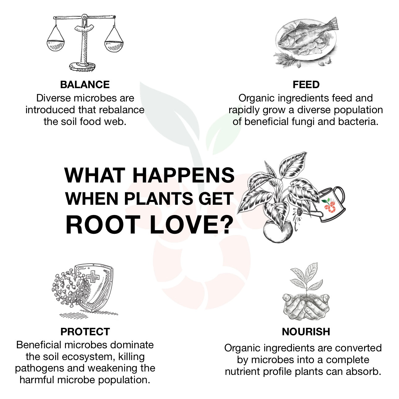Root Love Gallon Refill (local pickup only)