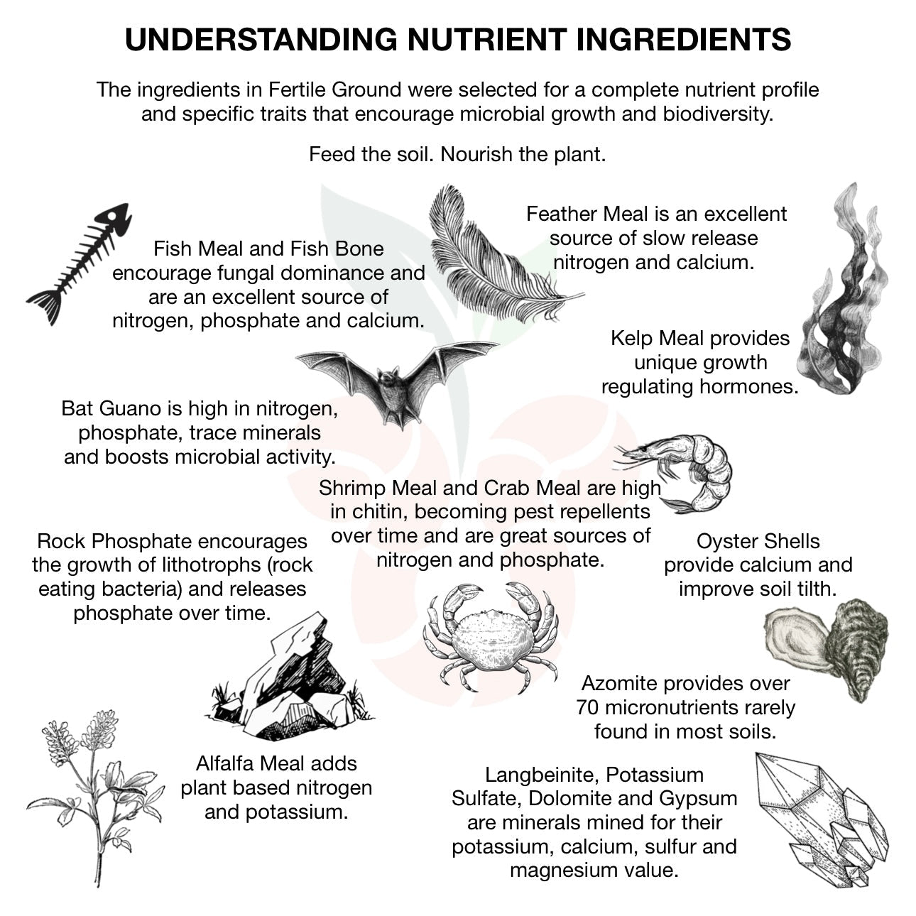 Fertile Ground Bulk (local pickup only)